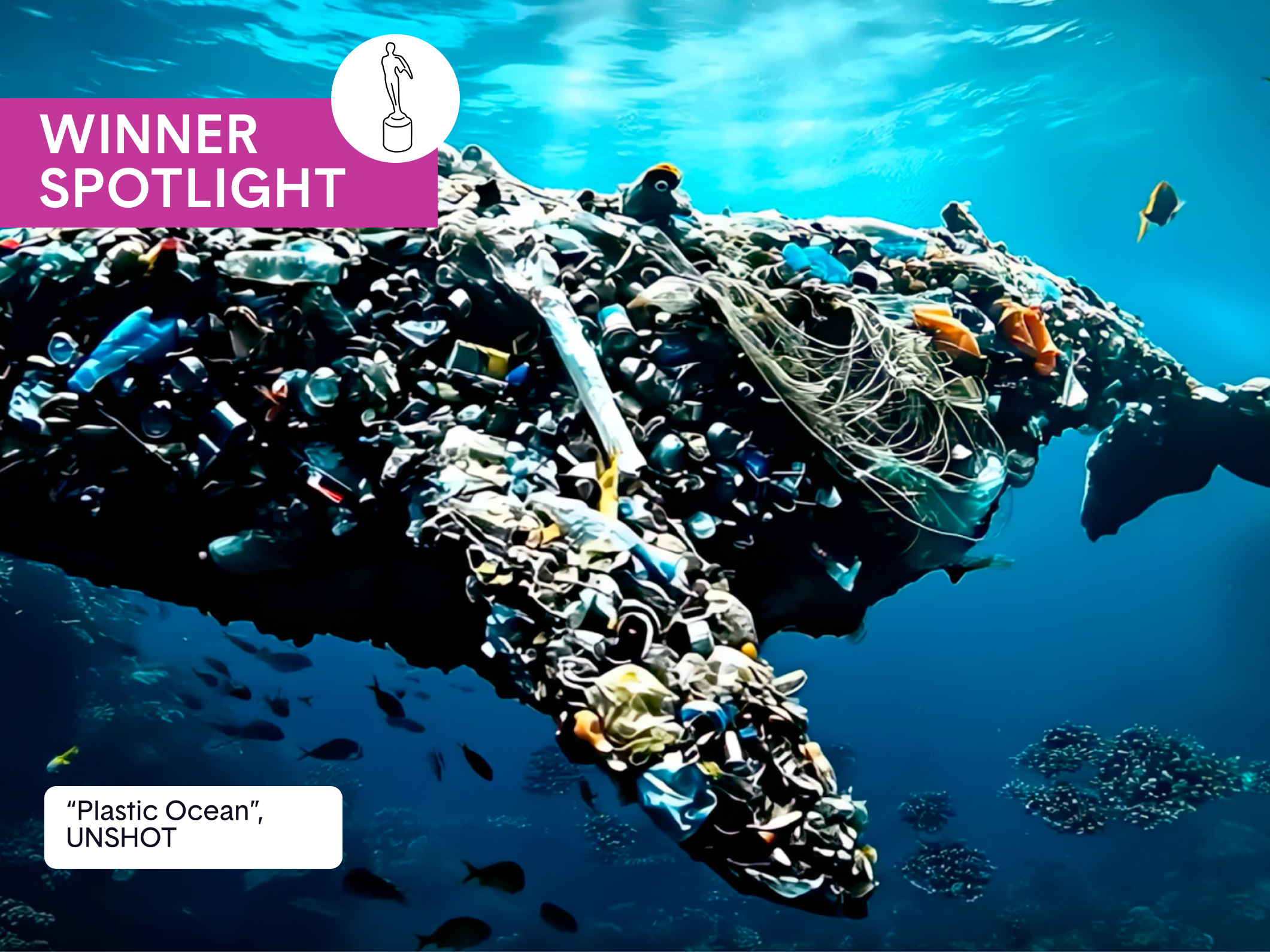Vicent + Alena Llopis on Turning Ocean Trash Into Sea Animals With AI