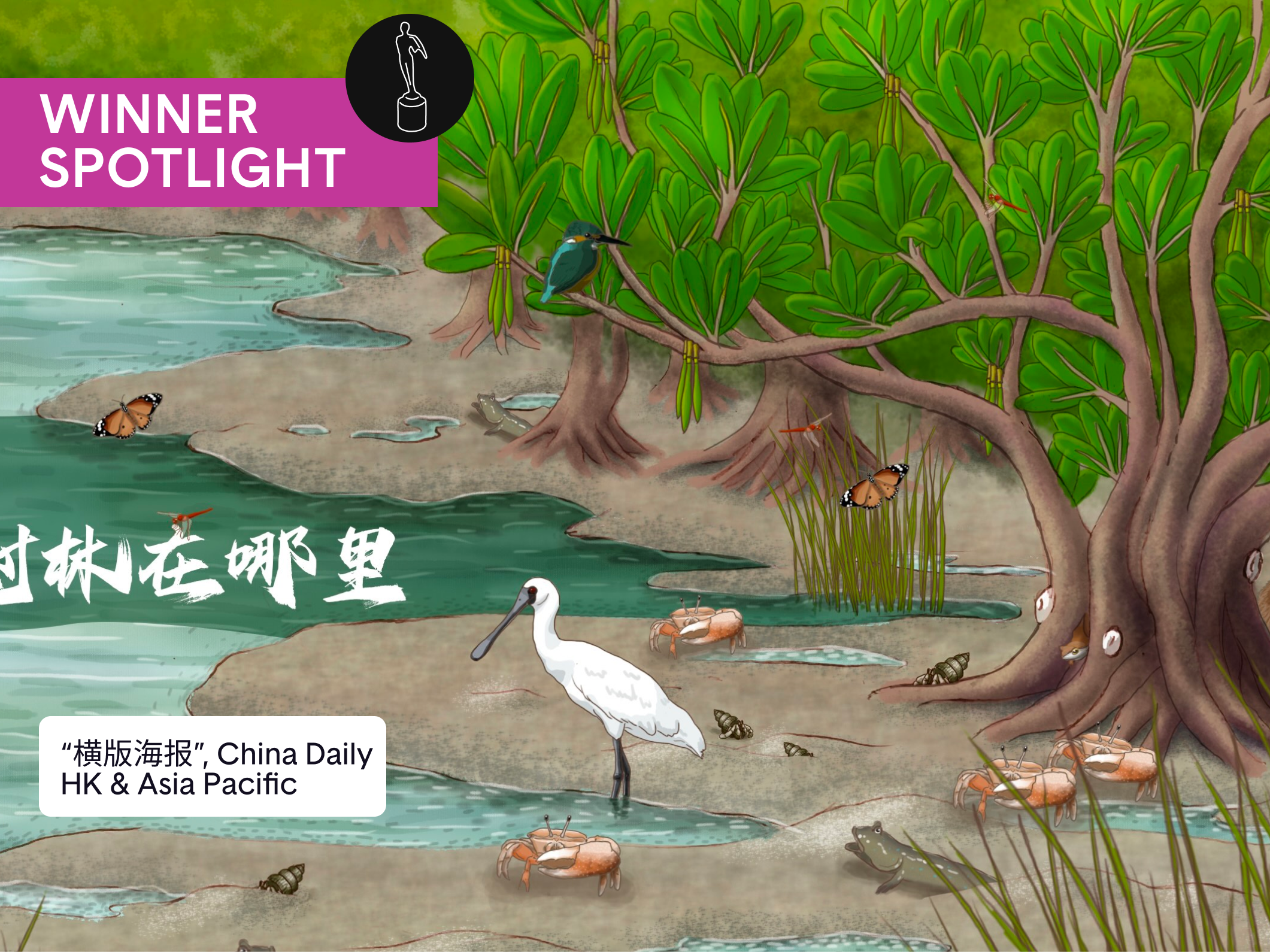 China Daily HK &amp; Asia Pacific on Giving Mangroves a Chance